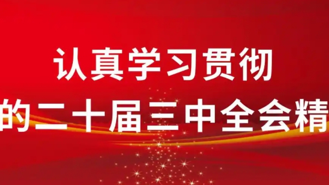 党的二十届三中全会公报